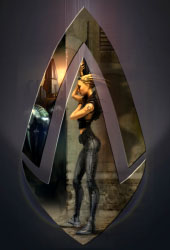 Anarchy Online Cover
